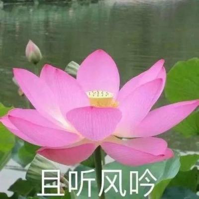 新华网视评｜警惕高考志愿填报“骗局”